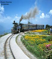 Darjeeling 