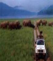 Corbett National Park