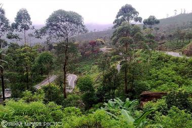 About Nuwara Eliya 
