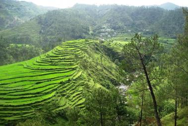 Tamenglong