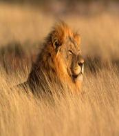 Namdapha Wildlife Sanctuary