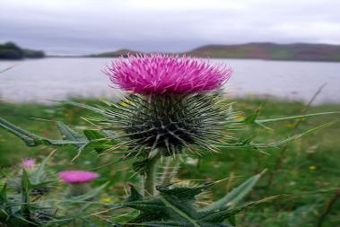  Scotland South part of Scotland