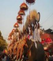 Thrissur Pooram Festival