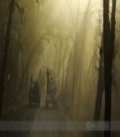 Bandhavgarh National Park