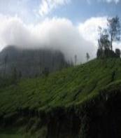 vagamon hill station