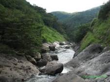 Silent Valley National Park Palakkad 