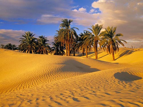 Egyptian Deserts & Oases