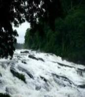 Vazhachal Fall Thrissur