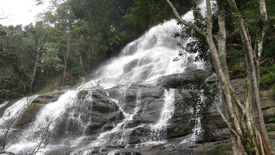 Kiliyur Falls Yercaud Tamilnadu