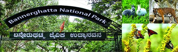  En-route Bannerghatta National park!!