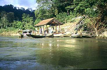 Taman Negara