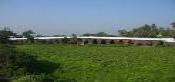 Atharnala Bridge