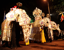 Things to do In Sri Lanka 