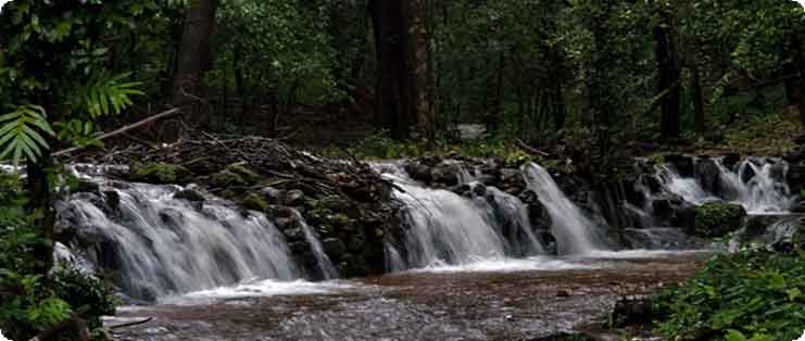 Agumbe Western Ghats, Karnataka