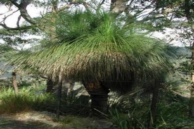 About Gold Coast 's Hinterland