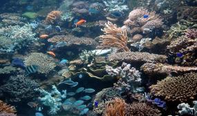 Underwater World Singapore