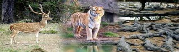 Simlipal National Park