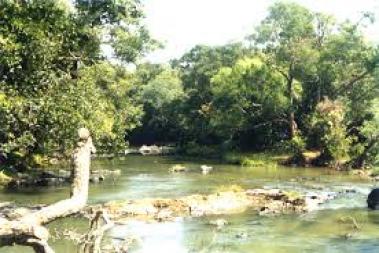 Most Visited Tourism Places in Wayanad 