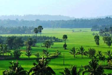 Palakkad Kelara