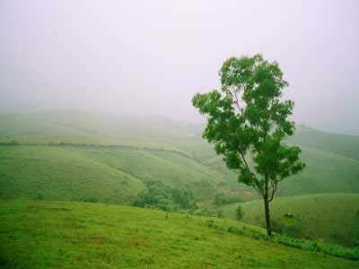 Vagamon 