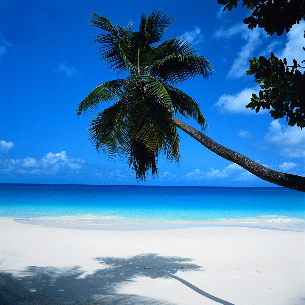 Mauritius A Sparkling Crystal In The Turquoise Waters Of The Indian Ocean Mauritius
