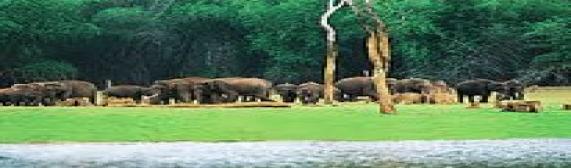 Annamalai National Park