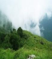 Ponmudy - The Salubrious Land of Hills
