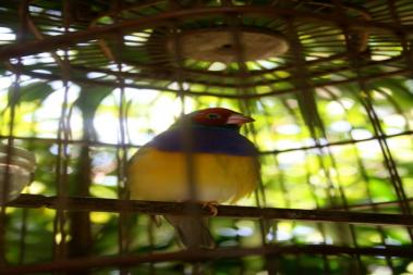 Nature Attractions
