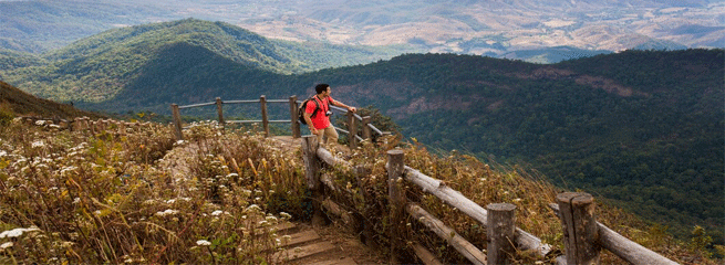 Most Adventures Trip - Ooty & Bandipur National Park