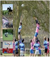 Paris sports & Activities