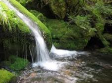 mossy falls mussoorie