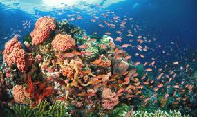 Philippines