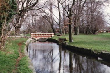 Environmental History